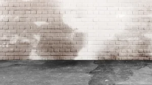 basement waterproofing Cleveland