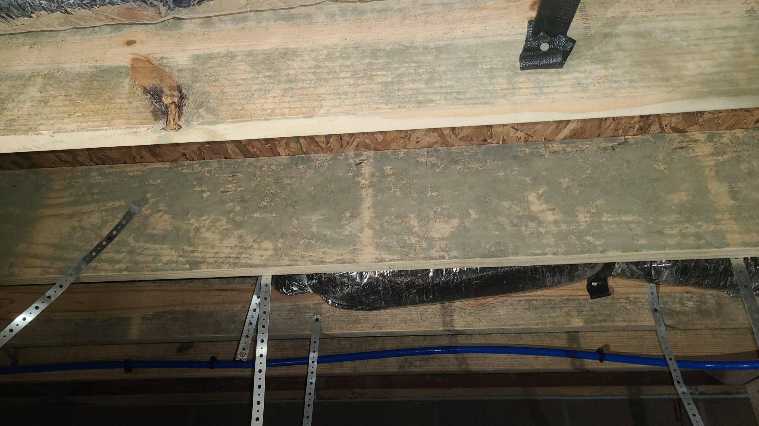 pro crawlspace repair mold on floor joist