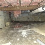 Crawlspace Inspection
