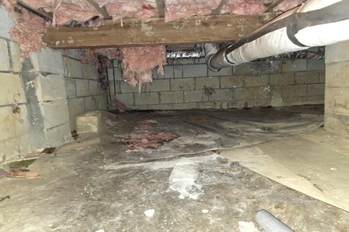 Crawlspace Inspection