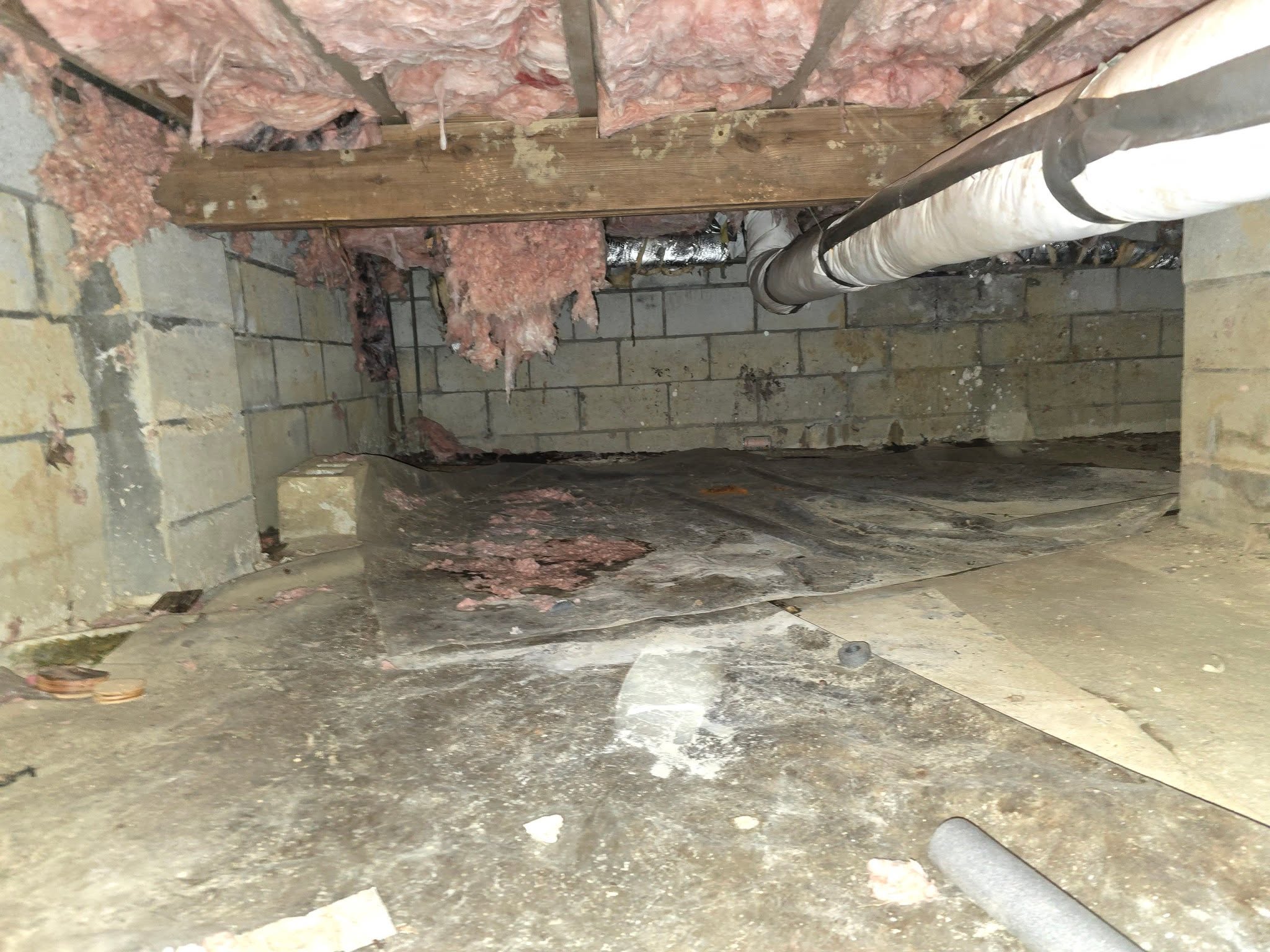 Crawlspace Inspection